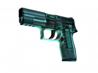 P250 X-Ray